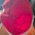 Assortment of Christmas decorations 2 thumbnail