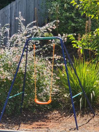 Infant to Toddler/kid swing 1