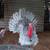 Blue slate turkey poults--$8 each 9 thumbnail