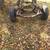 1954 FRAME FOR FORD CUSTOM LINE CAR 1 thumbnail
