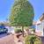 LANDSCAPING YARD CLEAN UPS AND TREE TRIMMING AVAILABLE IN ALL LASVEGAS 4 thumbnail