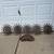 John Deere 18" Rotary Hoe Wheel and Cast Iron Seat 4 thumbnail