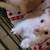 Little pups 2 thumbnail
