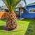 $1800 1bd-1bth house w/backyard! (unfurnished) - $2100 for Furnished 22 thumbnail
