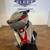 2013 Victory Vision Touring Bike Bagger Clean Title 7 thumbnail