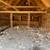 Chicken coop 5 thumbnail
