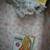 1964 BARBIE TOYS - SKIPPER DOLL, CARRY CASE, OUTFITS & CATALOGUE 15 thumbnail