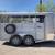 2024 Calico 14x6 Stock BP Stock Trailer 10 thumbnail