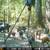 Big Thicket Hunting lease. 4 thumbnail