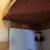 free old growth doug fir hand made children's twin loft bed 4 thumbnail