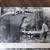 LIFE MAGAZINES 1941 TED WILLIAMS 1938 GARY COOPER 9 thumbnail