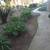 Weeds, PINENEEDLES,bushes, Leaves, SOD,  Mulch Installation, Rock Inst 19 thumbnail