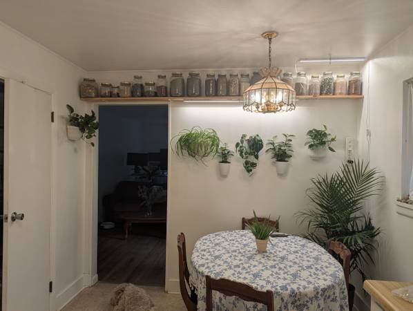 $2,300 / 3br - 1453ft2 - 3/1 home for rent (Brevard)64029208281729122