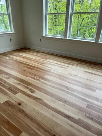 White Birch Lumber 1