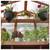 YARDISTRY MERIDIAN 8' X 7' GREENHOUSE - NEW IN BOX 13 thumbnail