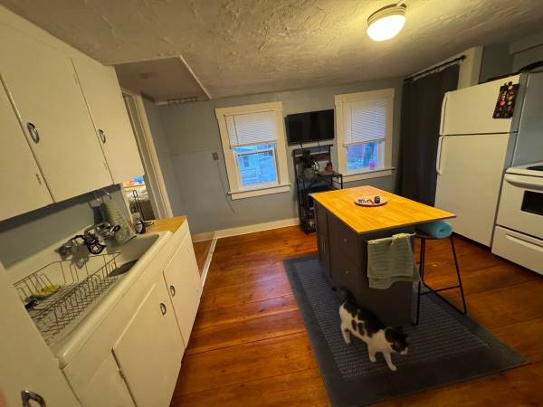 Downtown 1 Bedroom Apartment 1