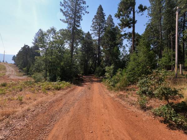 $19,900 Cheap land! 5 acres vacant land Montgomery Creek, CA with mature trees (Montgomery Creek, CA)63972531645698124