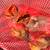 Chicks 3 thumbnail