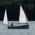 Cat Bird - Sailboat by Karl Stambaugh 5 thumbnail