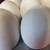 Goose eggs 2 thumbnail