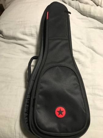 Road Runner avenue II case 1