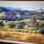 Sonoma County Artwork 1 thumbnail