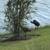 The Villages Florida 13 thumbnail