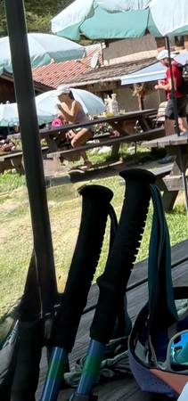 Lost Trekking Poles 1