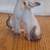 Mid century cat figurines 5 thumbnail