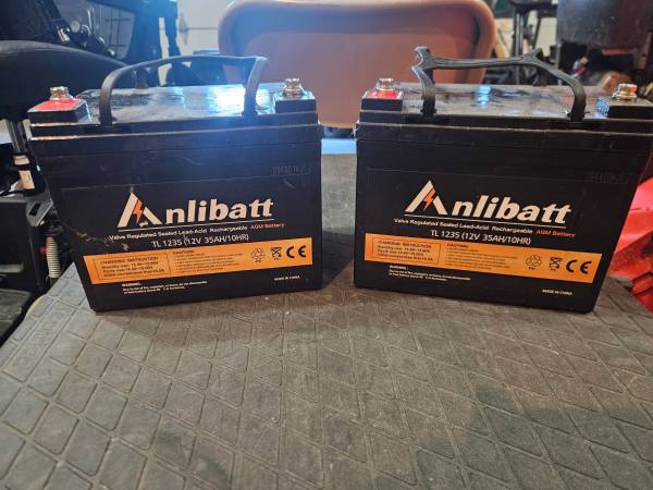pair of Anlibatt TL1235 batteries 1