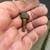 Mutt M151 military Jeep parts 1 thumbnail