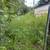 AFFORDABL YARD CLEANUP-LANDSCAPING-TREE TRIMMING-SOD & MULCH~JUNK HAUL 8 thumbnail