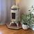 Thelin Parlour 3000 5 thumbnail