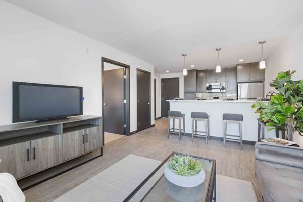 $1,639 / 506ft2 - in Seattle WA, Studio 1/ba, Vinyl Plank Flooring (8612 Palatine Avenue North, Seattle, WA)63659549423491122