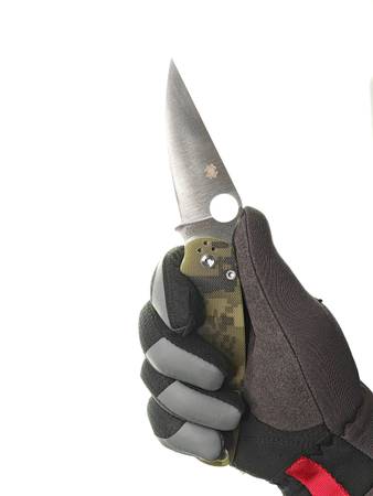 Spyderco Paramilitary II folding knife 1