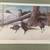 3pcs.---LEO STANS----GREAT WILDLIFE Heritage prints 3 DIFFERENT SCENES 4 thumbnail