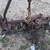 Tractor implement 3 thumbnail