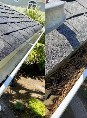 gutter cleaning and pressure washing/moss removal and snow removal 1