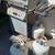Sunbeam Gas BBQ Grill w side burner and accessories and 3 LP tanks 8 thumbnail