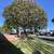 LICENSED*TREE TRIMMING*TREE REMOVALS *LICENSED**FRIENDLY** 7 thumbnail
