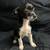 Tiny pups 1 thumbnail