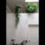 RONCE LIFESTYLE WITH LOFTY DREAMS 2 BEDS 1 BATH 15 thumbnail
