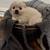 Love able babies 12 thumbnail
