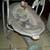 BABY ROCKER CHAIR Plays Music INGENUITY  Kids II Portable Rocking Seat 5 thumbnail