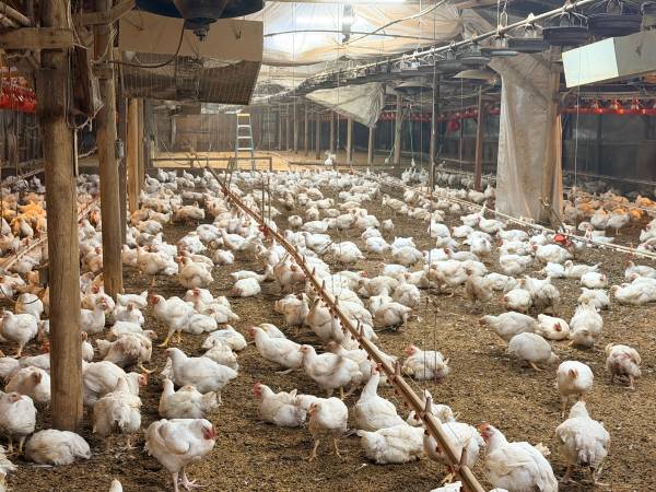 WE’RE HIRING — FARM, PROCESSING & CLEANING CREW 1