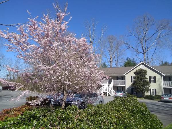 $1,400 / 2br - 2 dormitorios 2 baños $1,400/Mes (North Asheville)64029375678595123