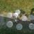 2 Intertek 5 light chrome chandelier light fixtures 3 thumbnail