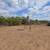 50 Acres 7 thumbnail