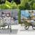 Light Up Canvas-$15 each 3 thumbnail