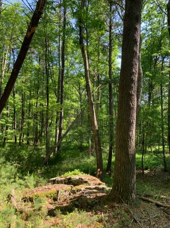 $9,000 / 54041ft2 - Terreno en Pocono Mountain en Venta - 1.24 Acre (Dingmans Ferry, Condado de Pike PA)63951425004546124